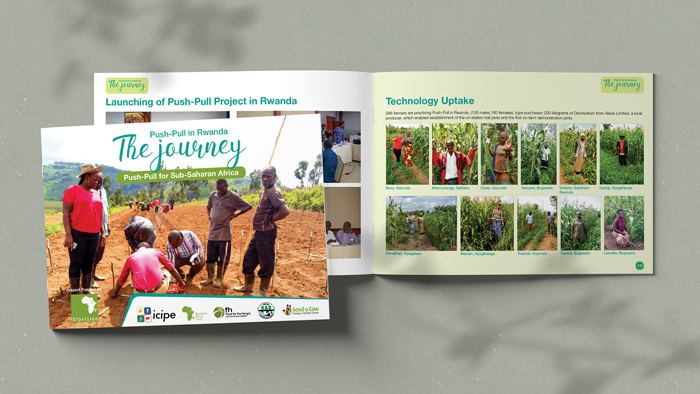 The Journey of Push-Pull in Rwanda